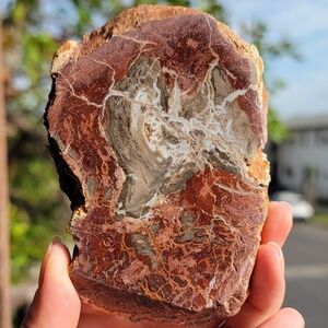 SOLD ❌️ NEW 2.75" x 4.25" x 266G PETRIFIED WOOD SLAB